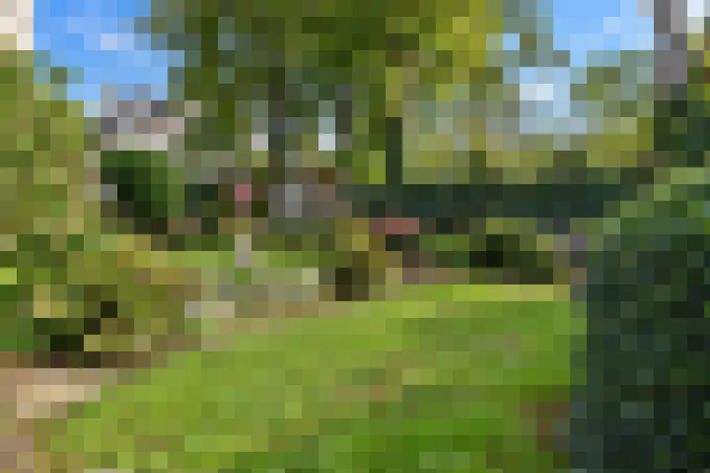 Wagenaarweg 26 Den Haag thumbnail 18