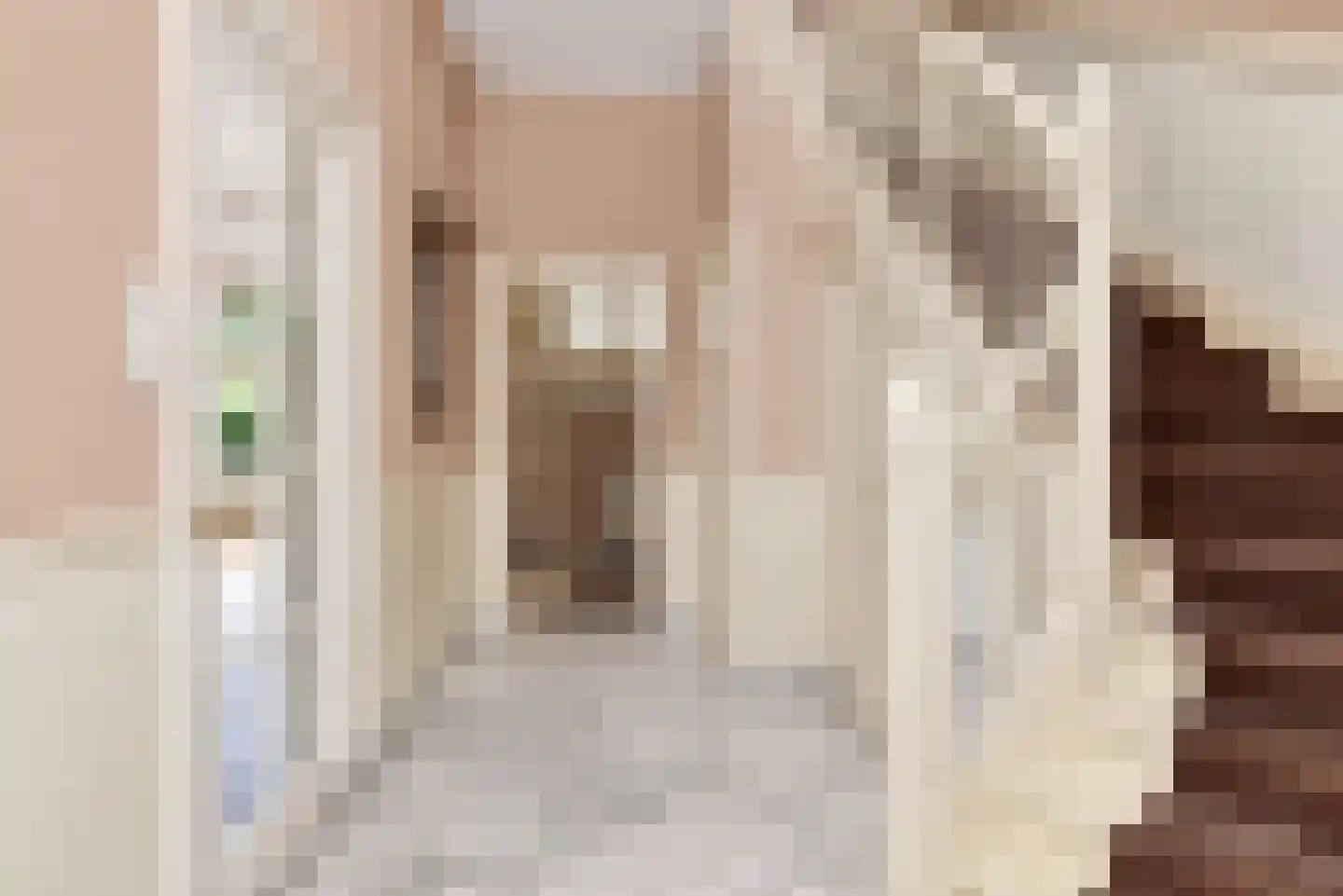 Wagenaarweg 26 Den Haag thumbnail 9