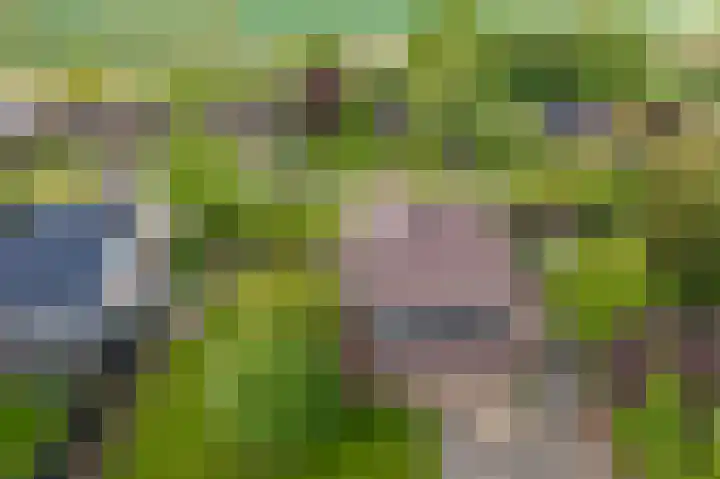 Wagenborgerweg 21 Nieuwolda thumbnail 13