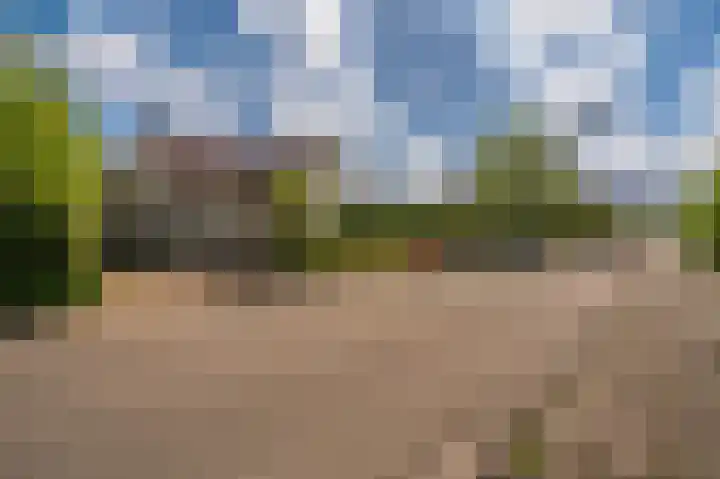 Wagenborgerweg 21 Nieuwolda thumbnail 14