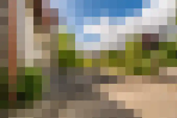 Wagenborgerweg 21 Nieuwolda thumbnail 18