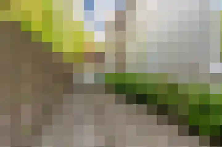 Wagenborgerweg 21 Nieuwolda thumbnail 19