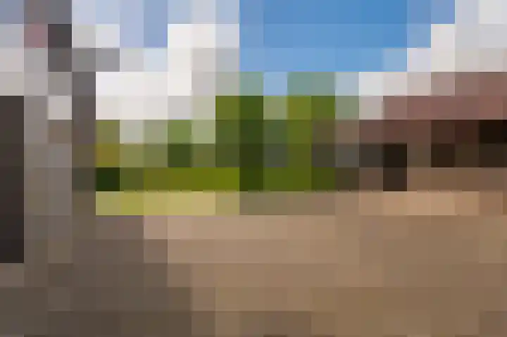 Wagenborgerweg 21 Nieuwolda thumbnail 21