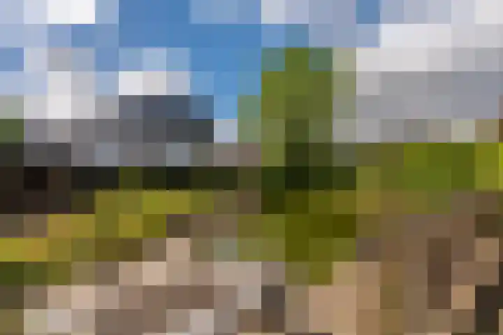 Wagenborgerweg 21 Nieuwolda thumbnail 27