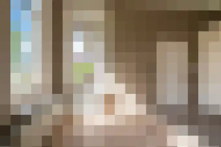 Wagenborgerweg 21 Nieuwolda thumbnail 36