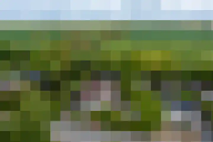 Wagenborgerweg 21 Nieuwolda thumbnail 8