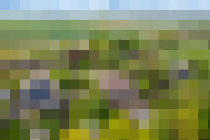 Wagenborgerweg 21 Nieuwolda thumbnail 9
