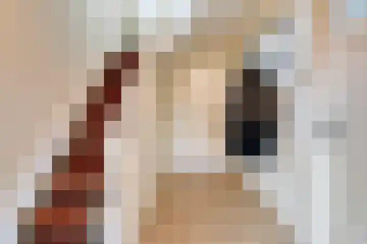 Wagenborgerweg 43 Nieuwolda thumbnail 18