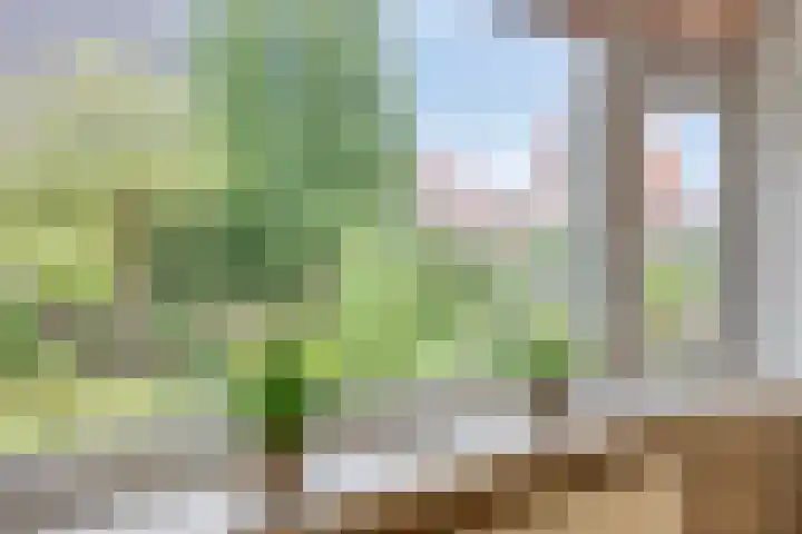 Wagenborgerweg 43 Nieuwolda thumbnail 30