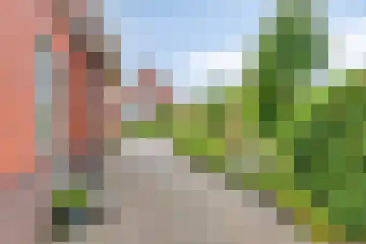 Wagenborgerweg 43 Nieuwolda thumbnail 31