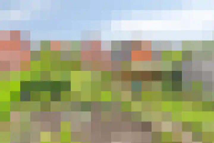Wagenborgerweg 43 Nieuwolda thumbnail 32
