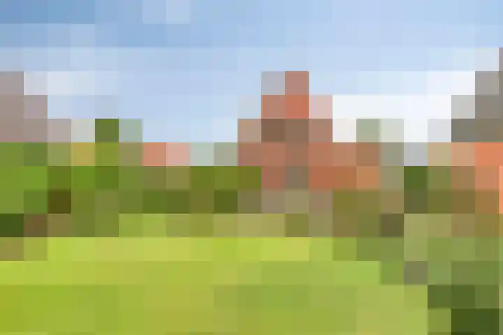 Wagenborgerweg 43 Nieuwolda thumbnail 33