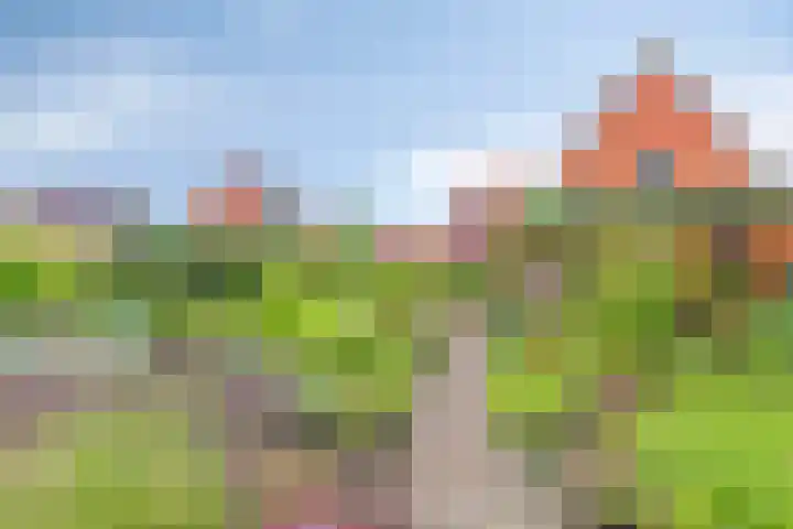 Wagenborgerweg 43 Nieuwolda thumbnail 34