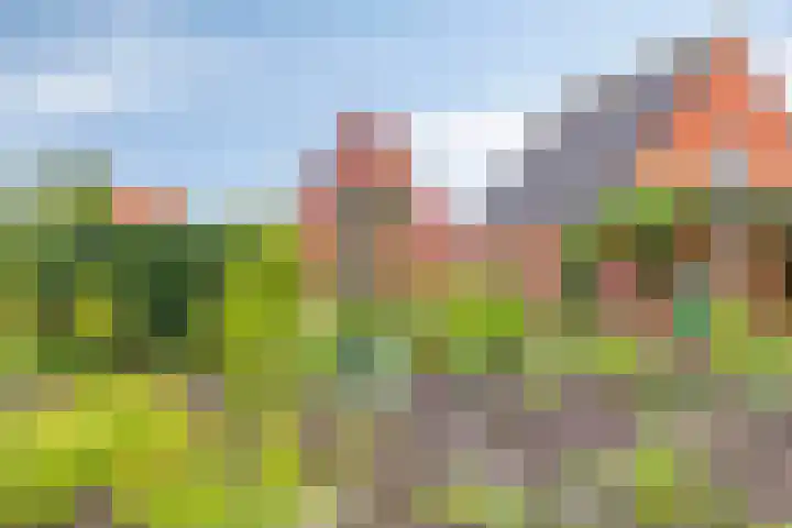 Wagenborgerweg 43 Nieuwolda thumbnail 35