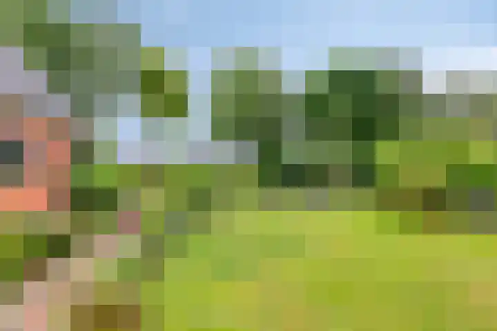 Wagenborgerweg 43 Nieuwolda thumbnail 38