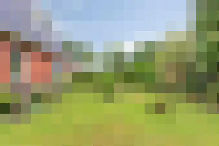 Wagenborgerweg 43 Nieuwolda thumbnail 39