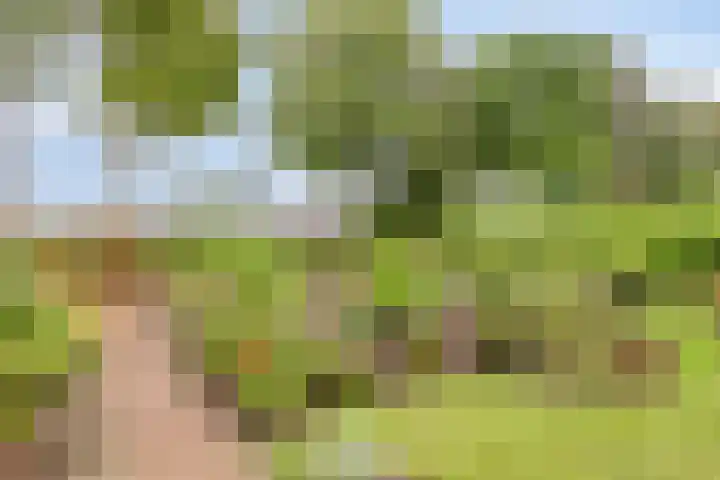 Wagenborgerweg 43 Nieuwolda thumbnail 44
