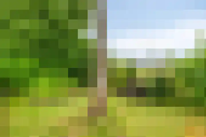 Wagenborgerweg 43 Nieuwolda thumbnail 47