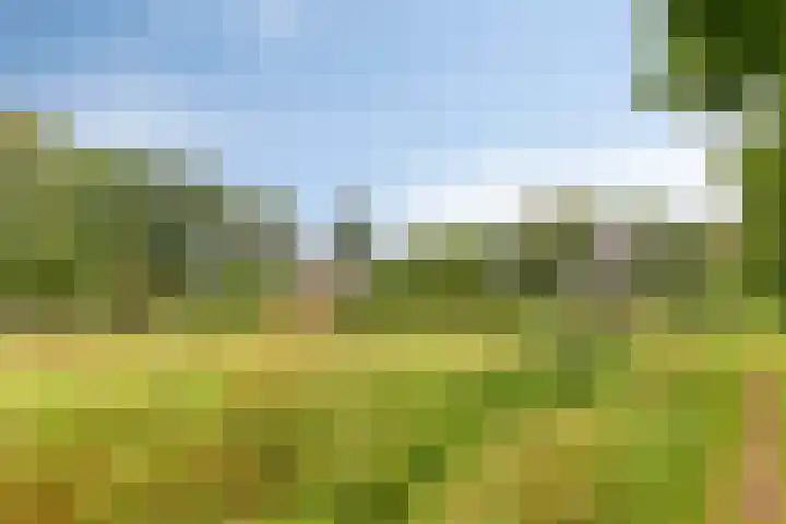 Wagenborgerweg 43 Nieuwolda thumbnail 48