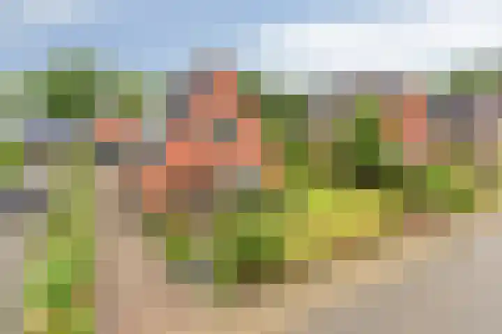 Wagenborgerweg 43 Nieuwolda thumbnail 49