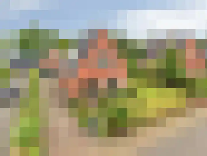 Wagenborgerweg 43 Nieuwolda thumbnail 5