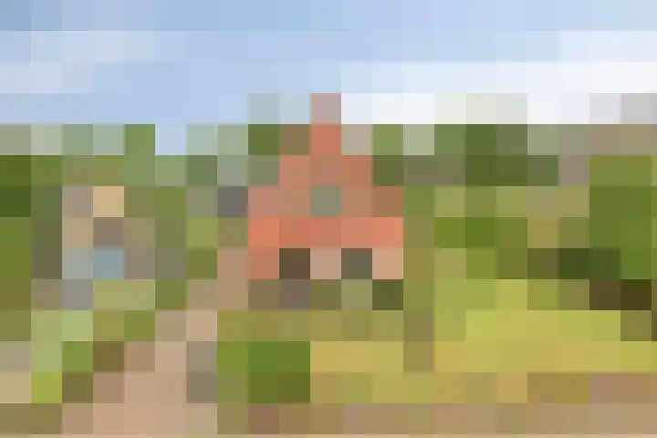 Wagenborgerweg 43 Nieuwolda thumbnail 50
