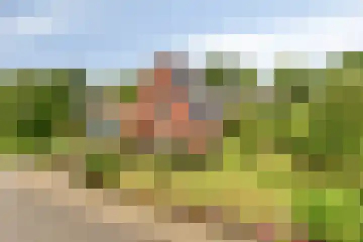 Wagenborgerweg 43 Nieuwolda thumbnail 53