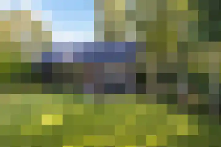 Wagenborgerweg 49 Nieuwolda thumbnail 29
