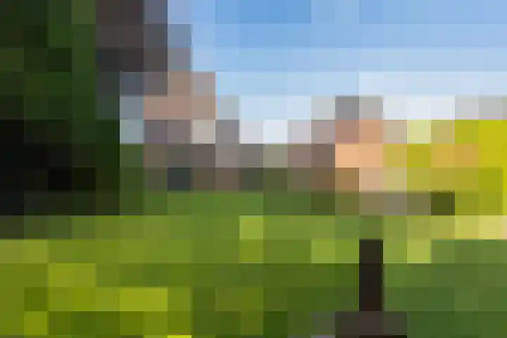 Wagenborgerweg 49 Nieuwolda thumbnail 33