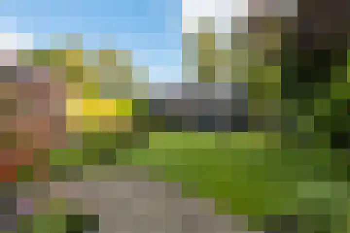 Wagenborgerweg 49 Nieuwolda thumbnail 34