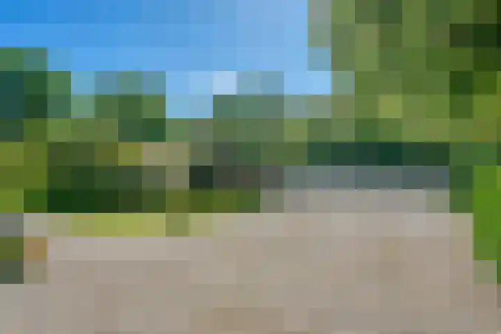 Wagenborgerweg 54 Nieuwolda thumbnail 10