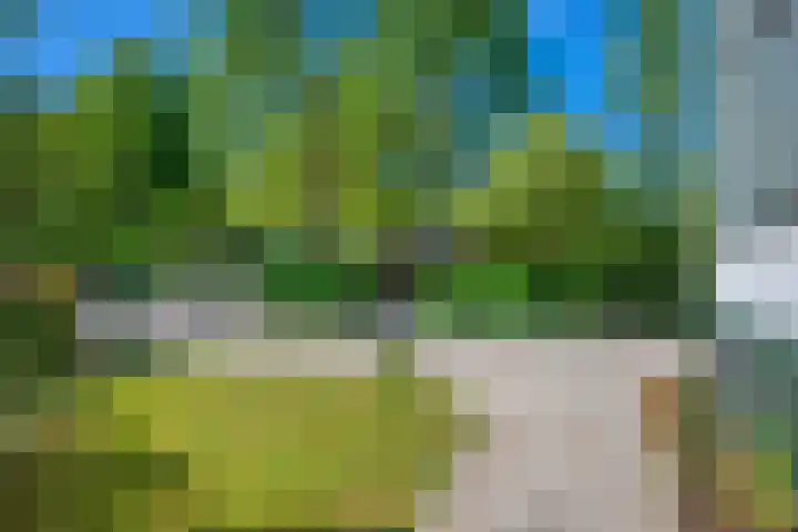 Wagenborgerweg 54 Nieuwolda thumbnail 12
