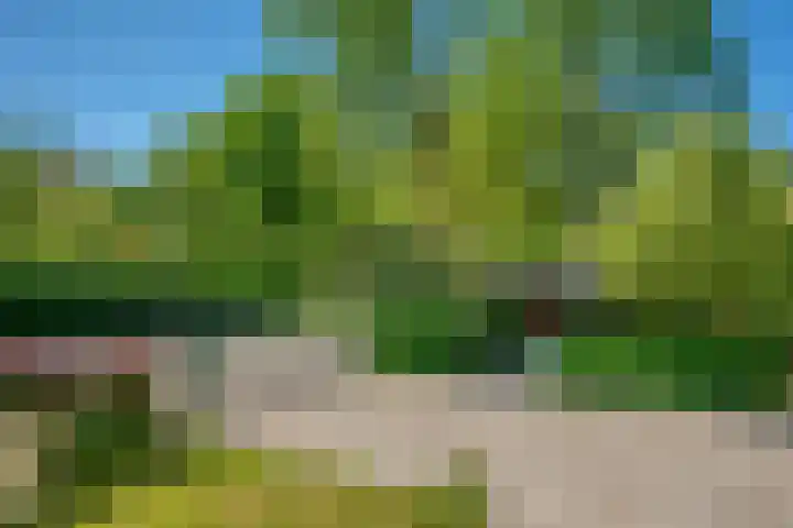 Wagenborgerweg 54 Nieuwolda thumbnail 13