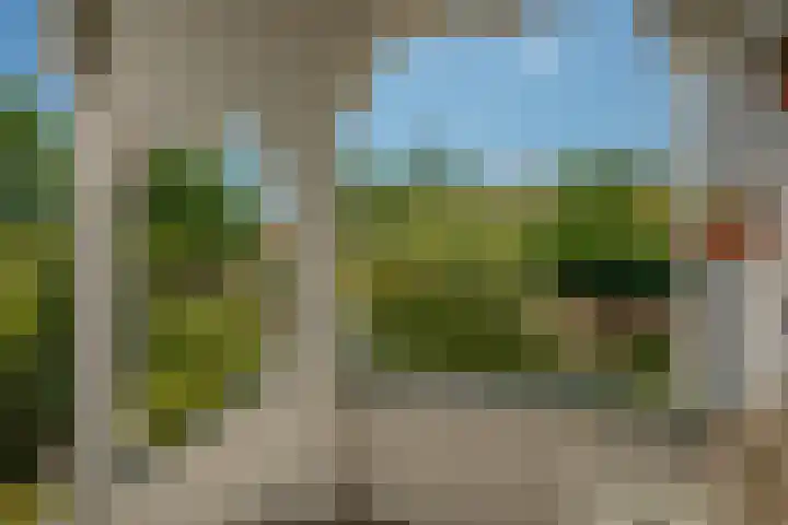 Wagenborgerweg 54 Nieuwolda thumbnail 16