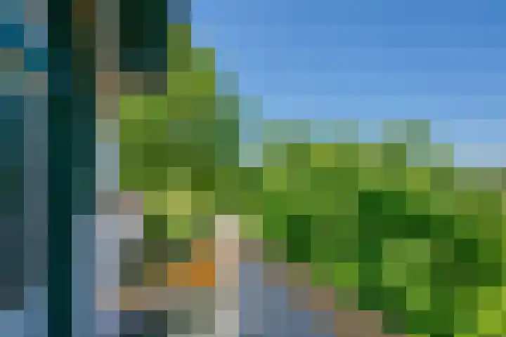 Wagenborgerweg 54 Nieuwolda thumbnail 47