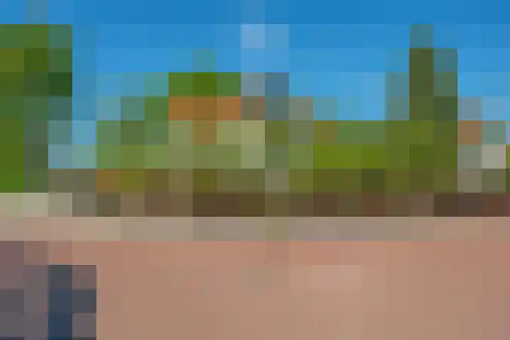 Wagenborgerweg 54 Nieuwolda thumbnail 5