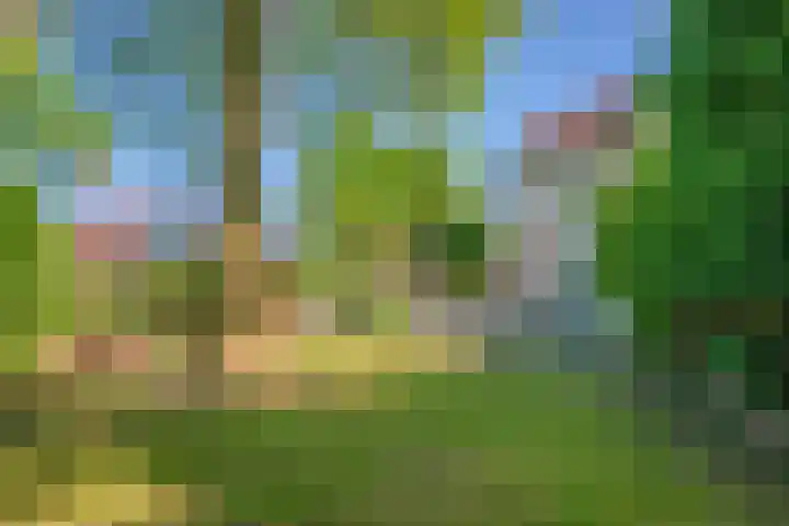 Wagenborgerweg 54 Nieuwolda thumbnail 69