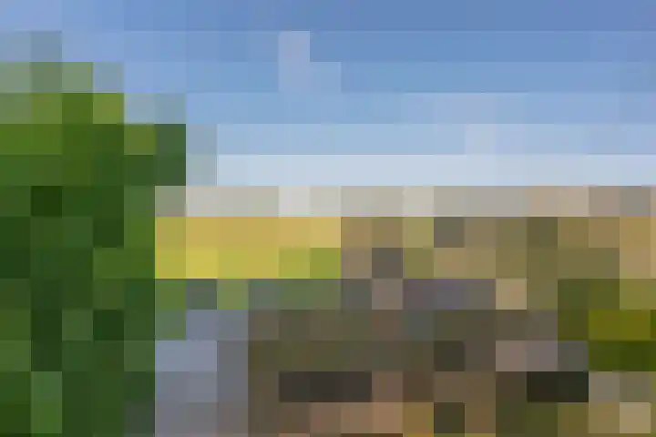 Wagenborgerweg 54 Nieuwolda thumbnail 76