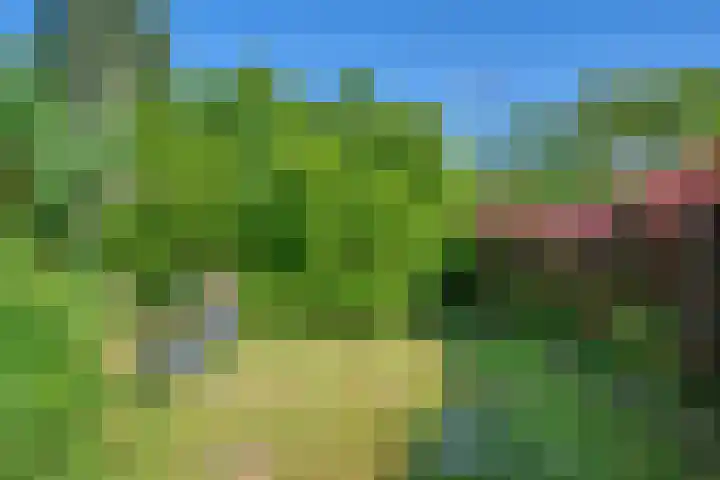 Wagenborgerweg 54 Nieuwolda thumbnail 81