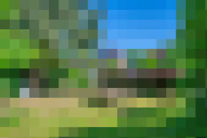 Wagenborgerweg 54 Nieuwolda thumbnail 82