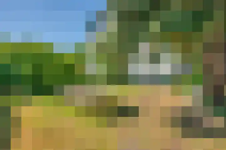 Wagenborgerweg 54 Nieuwolda thumbnail 83