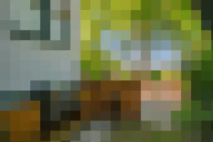 Wagenborgerweg 54 Nieuwolda thumbnail 86