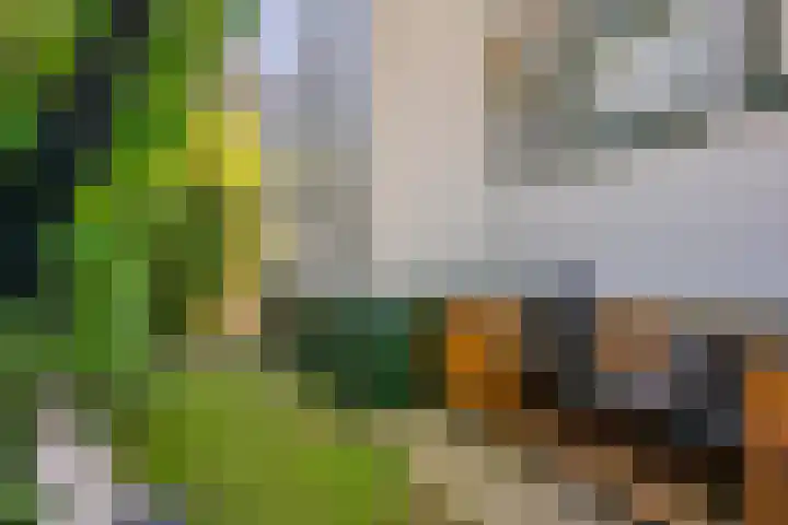 Wagenborgerweg 54 Nieuwolda thumbnail 87