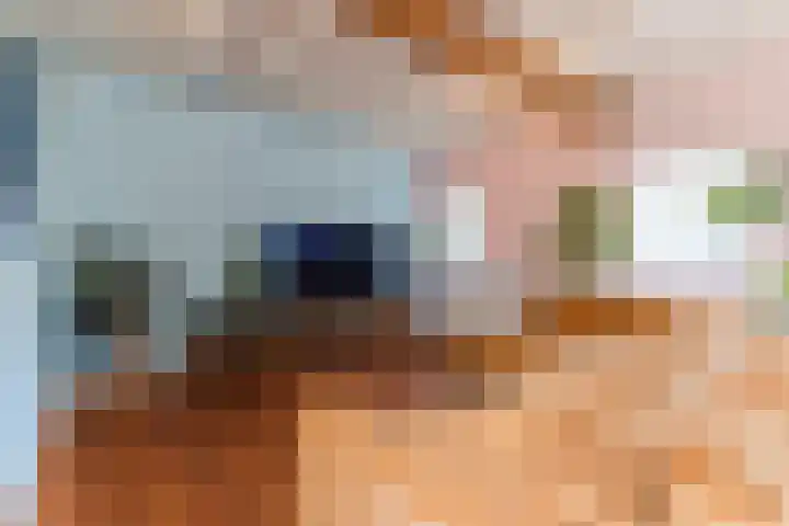 Wagenbroeken 6 Casteren thumbnail 15