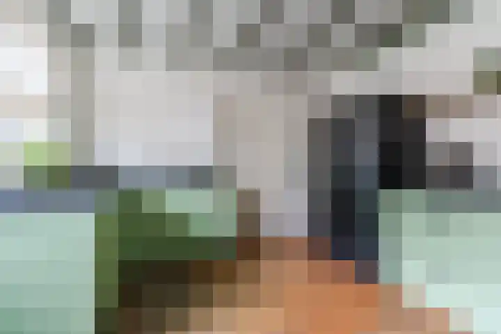 Wagenbroeken 6 Casteren thumbnail 19