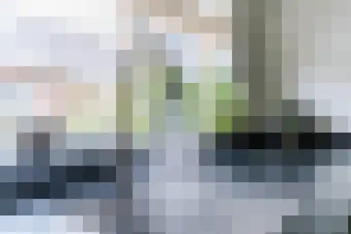 Wagenbroeken 6 Casteren thumbnail 21