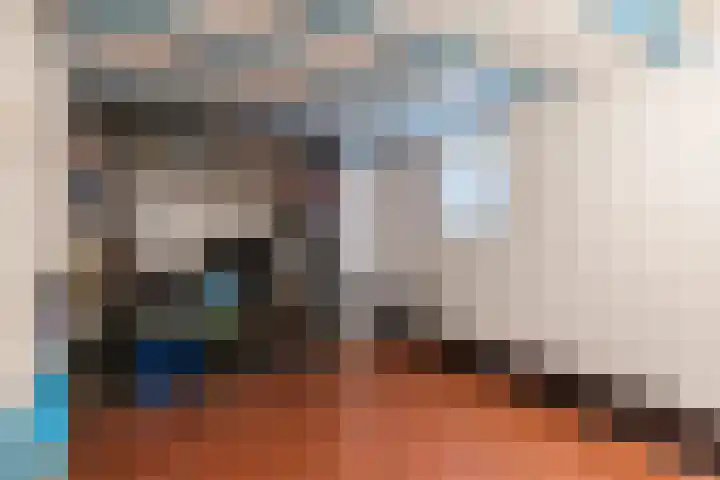 Wagenbroeken 6 Casteren thumbnail 22
