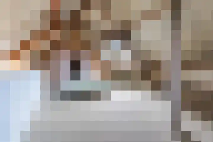 Wagenbroeken 6 Casteren thumbnail 30