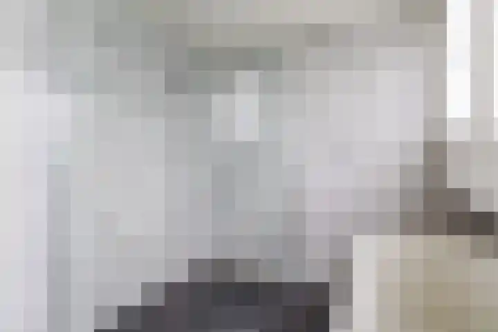 Wagenbroeken 6 Casteren thumbnail 39