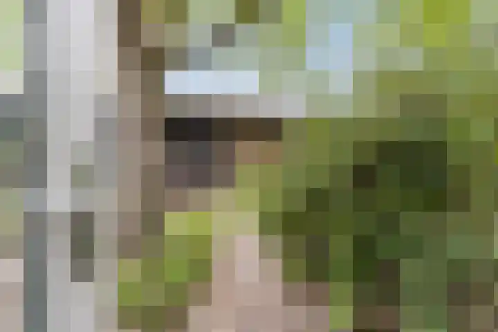 Wagenbroeken 6 Casteren thumbnail 41